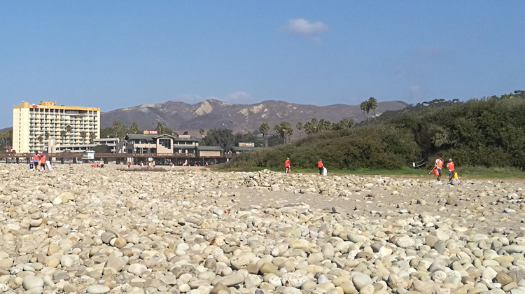 Volunteers scour the beach for trash during Coastal Cleanup Day