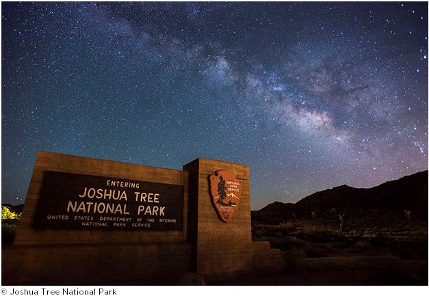 Joshua Tree